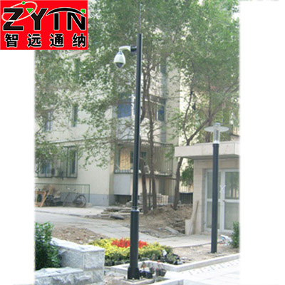 TN-BJ0022 小區(qū)變徑監(jiān)控桿