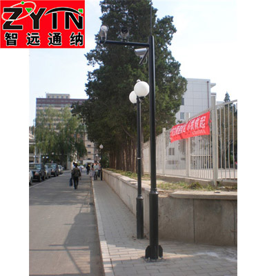 TN-BJ0019 小區(qū)變徑監(jiān)控桿
